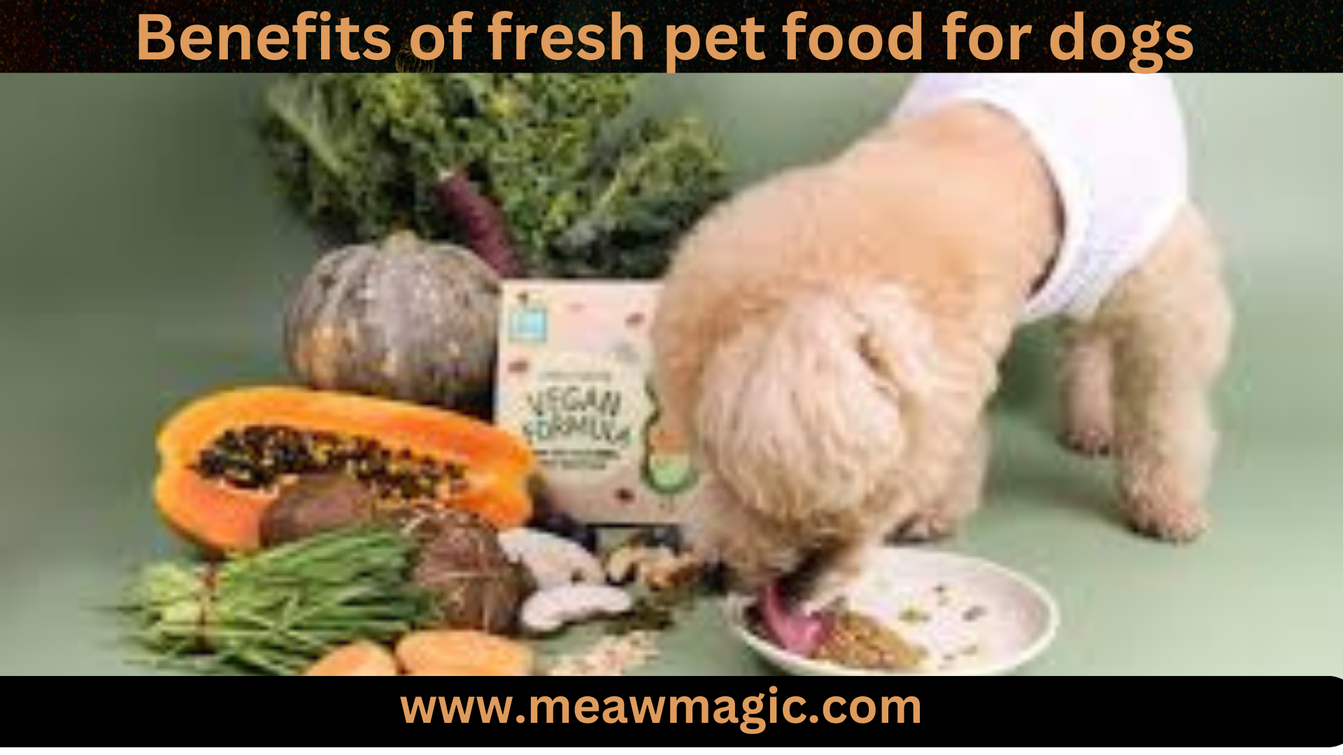 fresh pet food 15benefits