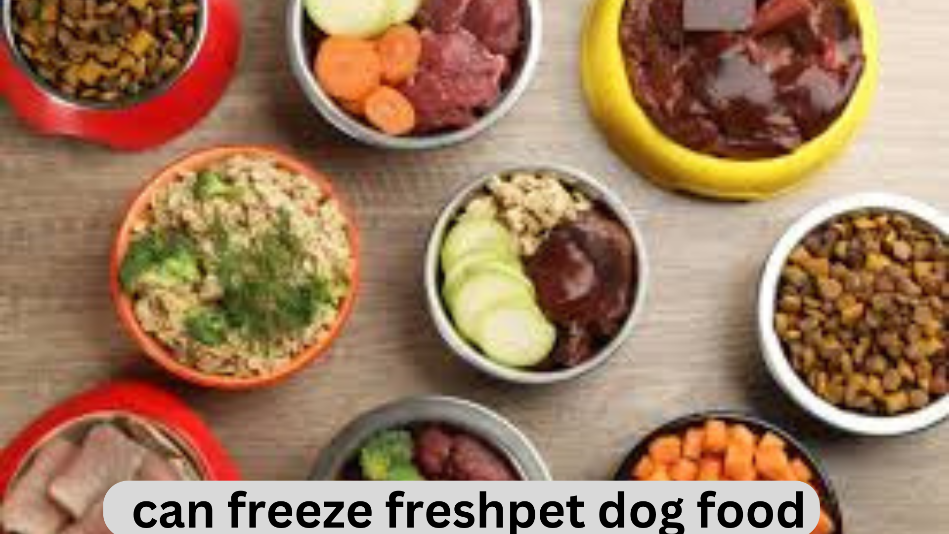 Can you freeze freshpet dog food?