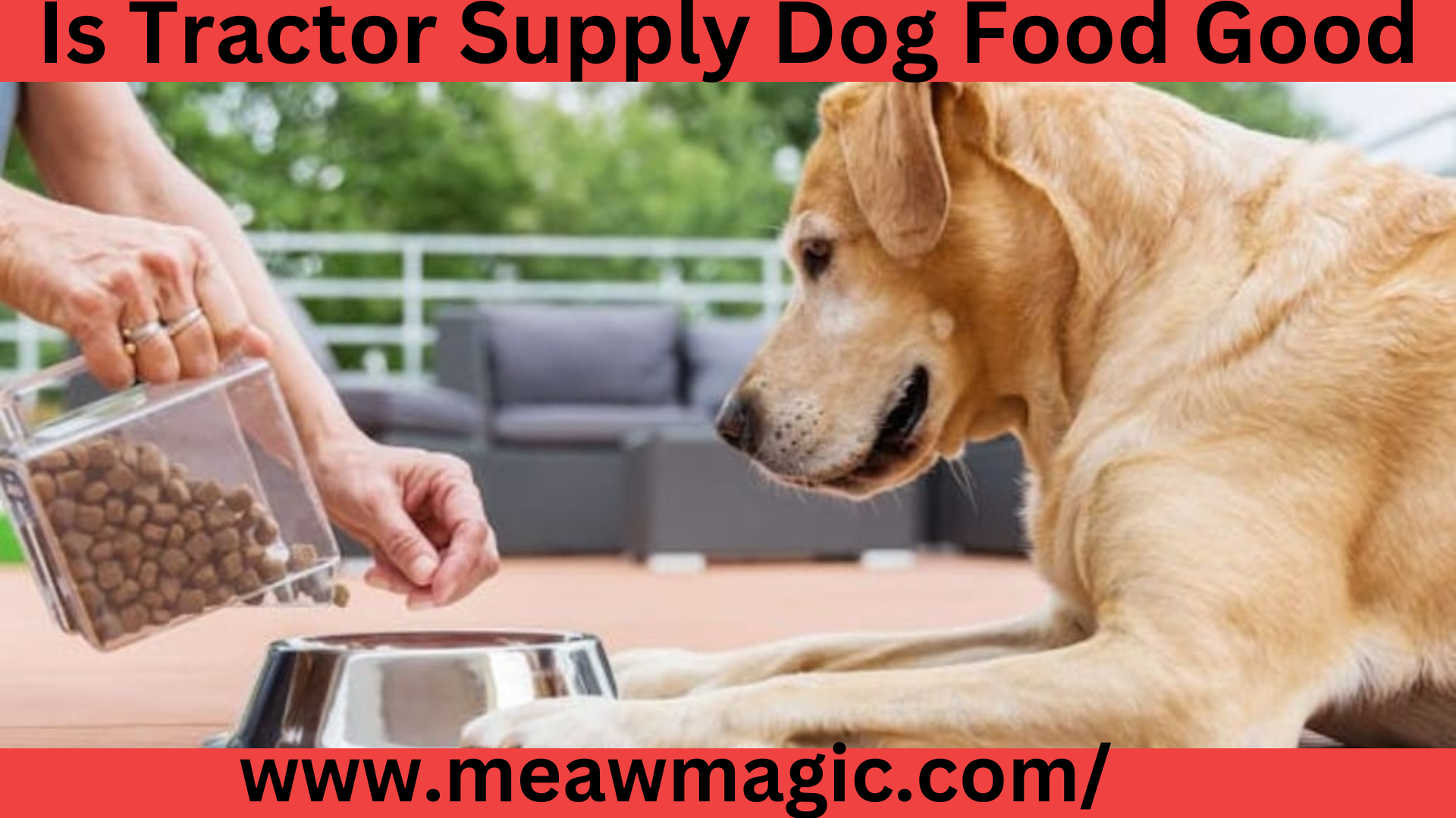 Tractor Supply dog foodIs Tractor Supply dog
